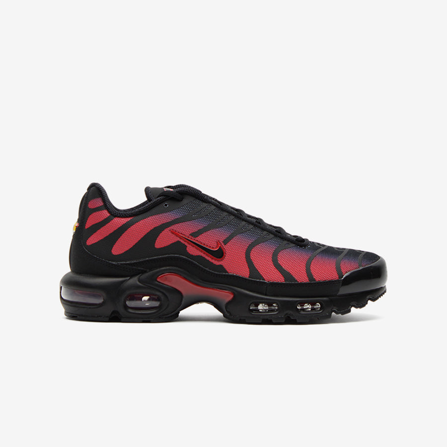 Nike Air Max Plus Bred Reflective