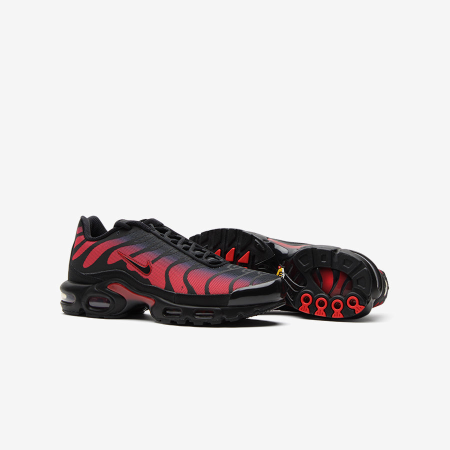 Nike Air Max Plus Bred Reflective